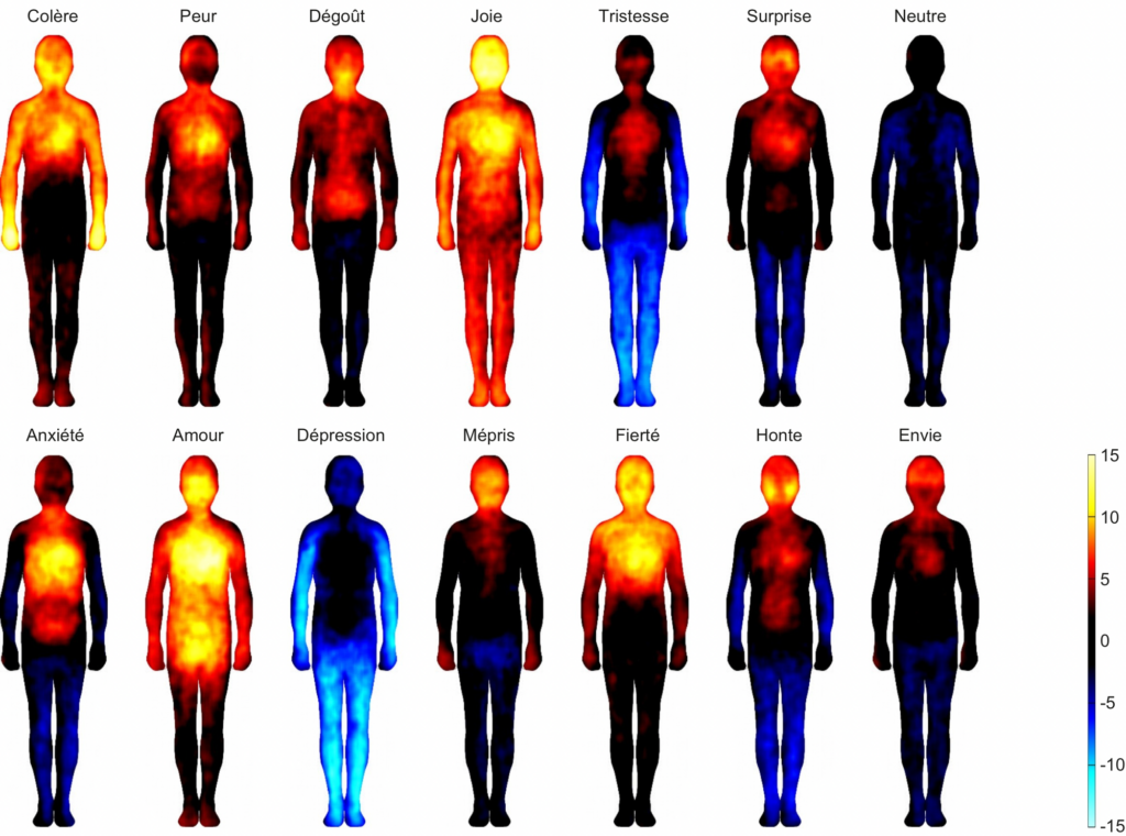 Émotions et corps - Nummenmaa, L., Glerean, E., Hari, R., & Hietanen, J. K. (2014). Bodily maps of emotions. PNAS, 111(2), 646–651 — Utilisée à visée éducative.