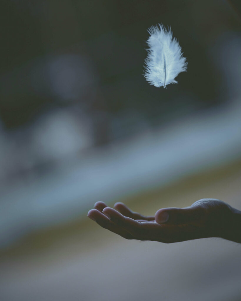 EMDR anxiété - javardh-FL6rma2jePU-unsplash